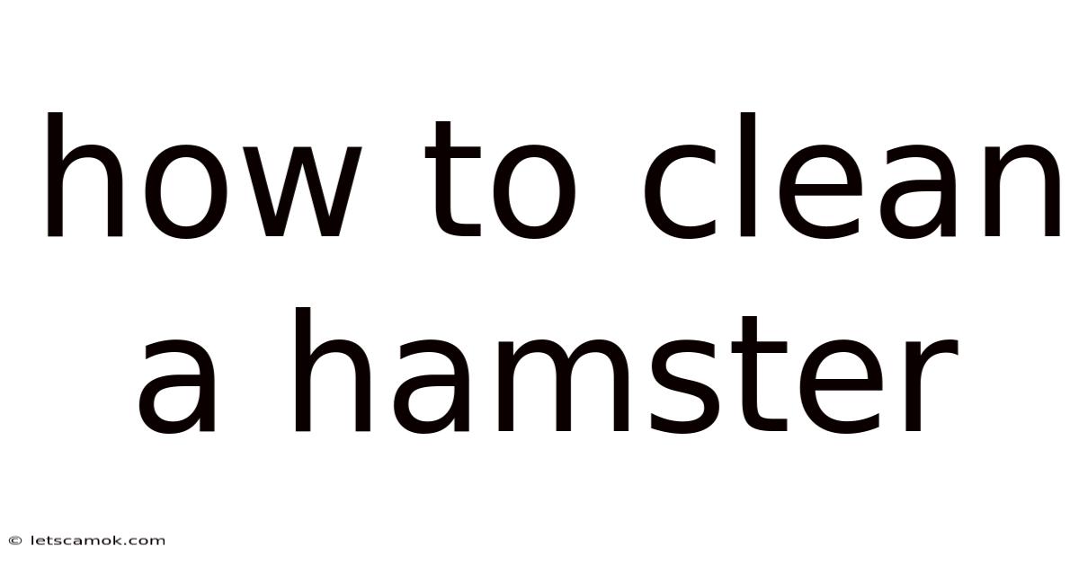 How To Clean A Hamster
