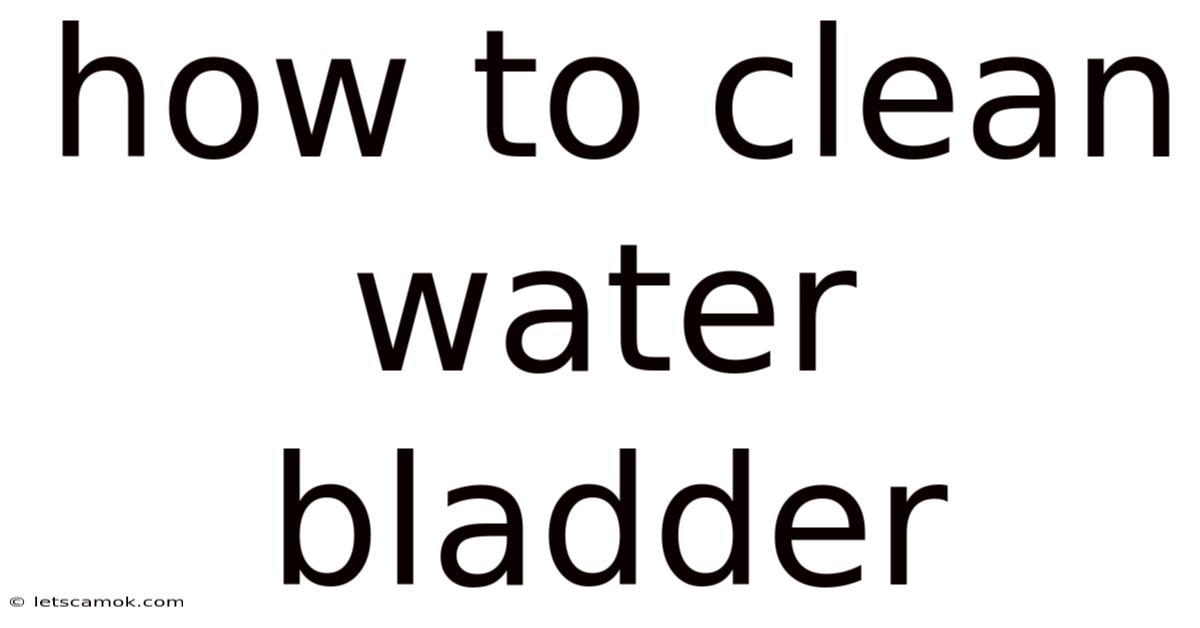 How To Clean Water Bladder