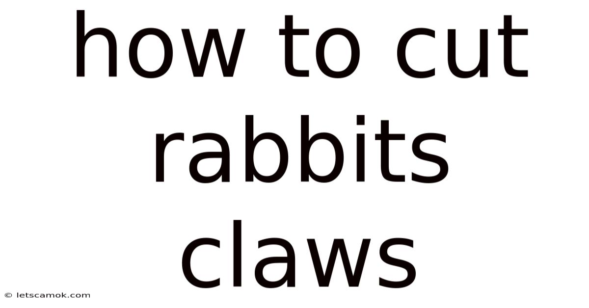 How To Cut Rabbits Claws