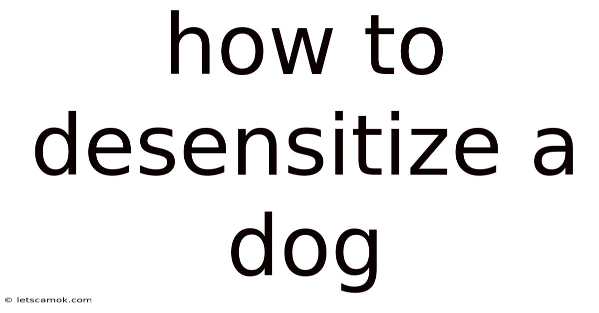 How To Desensitize A Dog