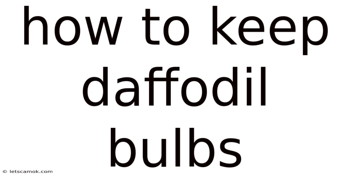 How To Keep Daffodil Bulbs