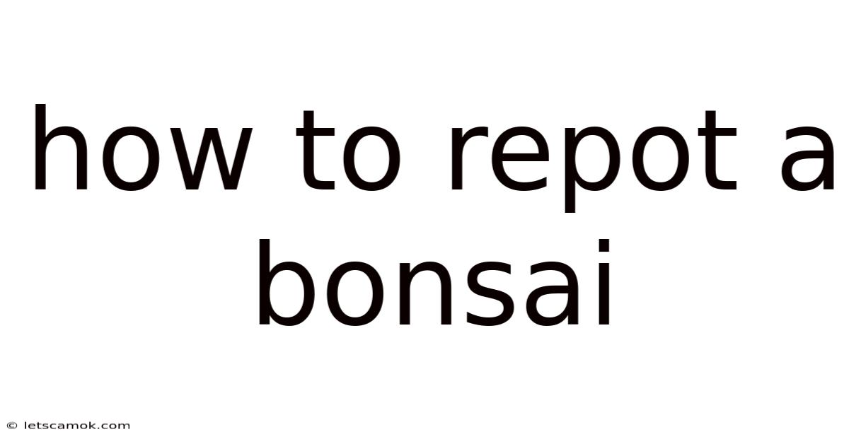 How To Repot A Bonsai