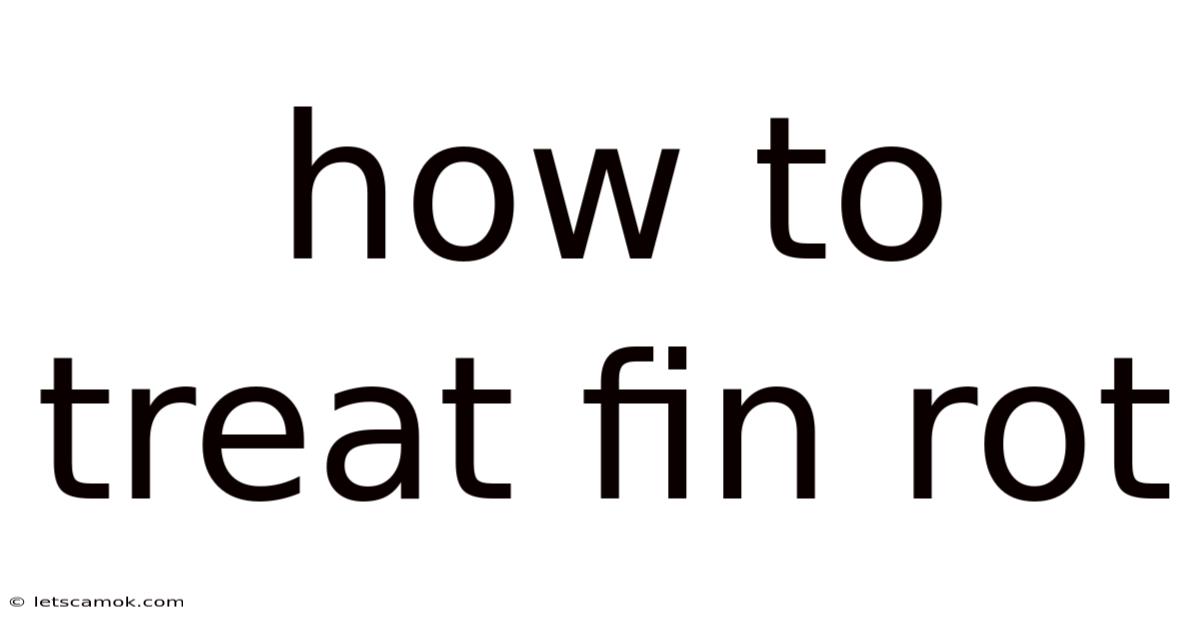 How To Treat Fin Rot