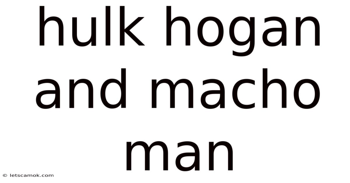 Hulk Hogan And Macho Man