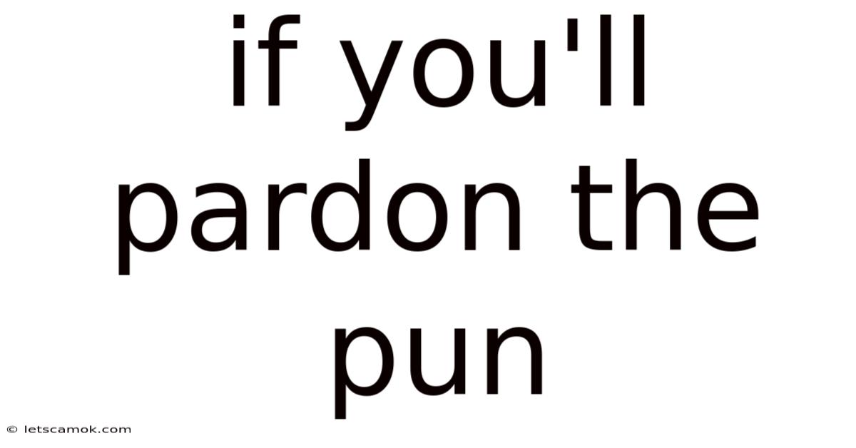 If You'll Pardon The Pun
