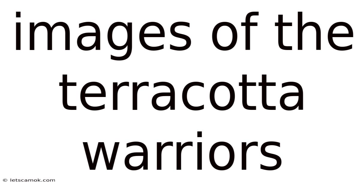 Images Of The Terracotta Warriors