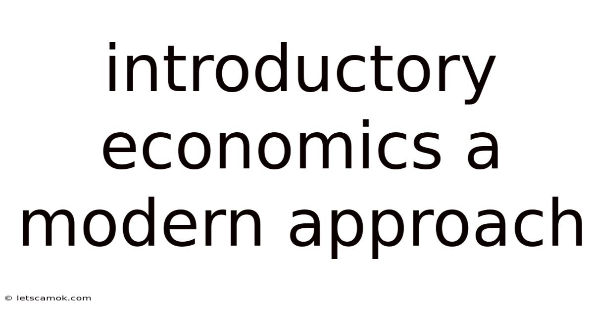 Introductory Economics A Modern Approach