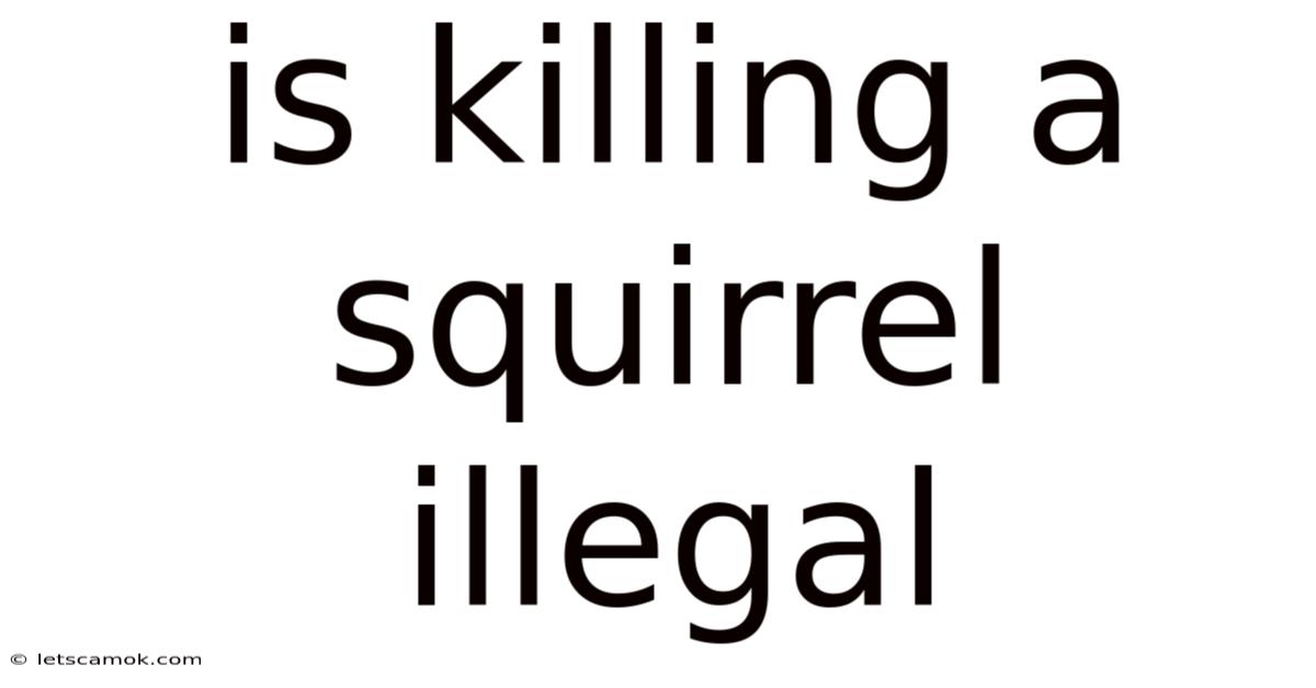 Is Killing A Squirrel Illegal