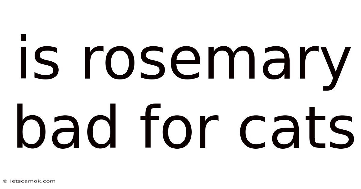 Is Rosemary Bad For Cats