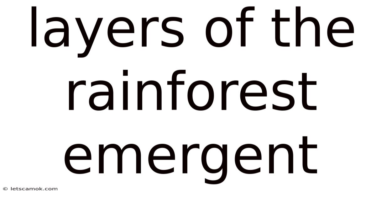 Layers Of The Rainforest Emergent