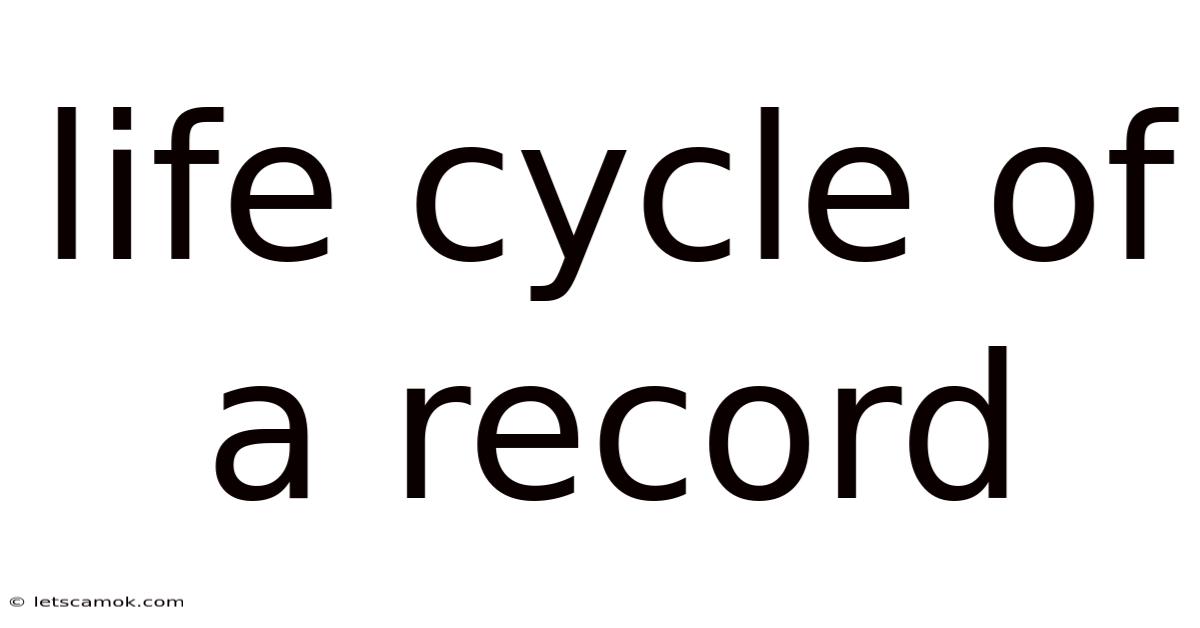 Life Cycle Of A Record