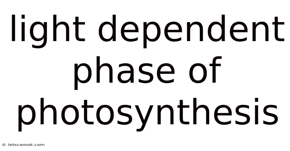 Light Dependent Phase Of Photosynthesis
