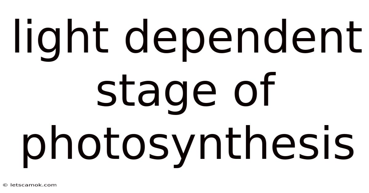 Light Dependent Stage Of Photosynthesis