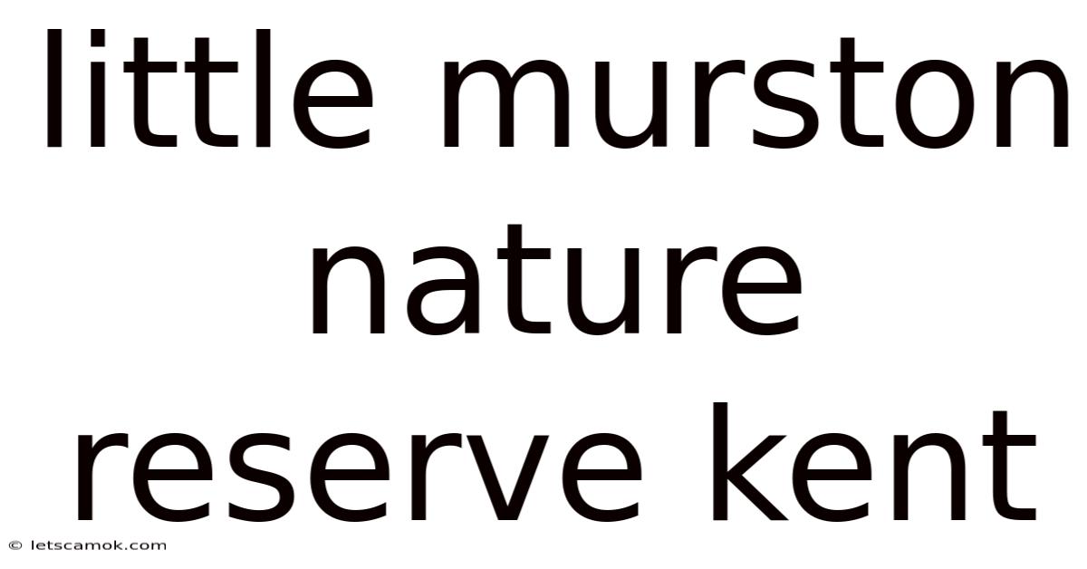 Little Murston Nature Reserve Kent