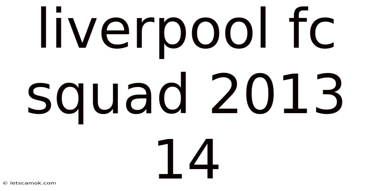Liverpool Fc Squad 2013 14