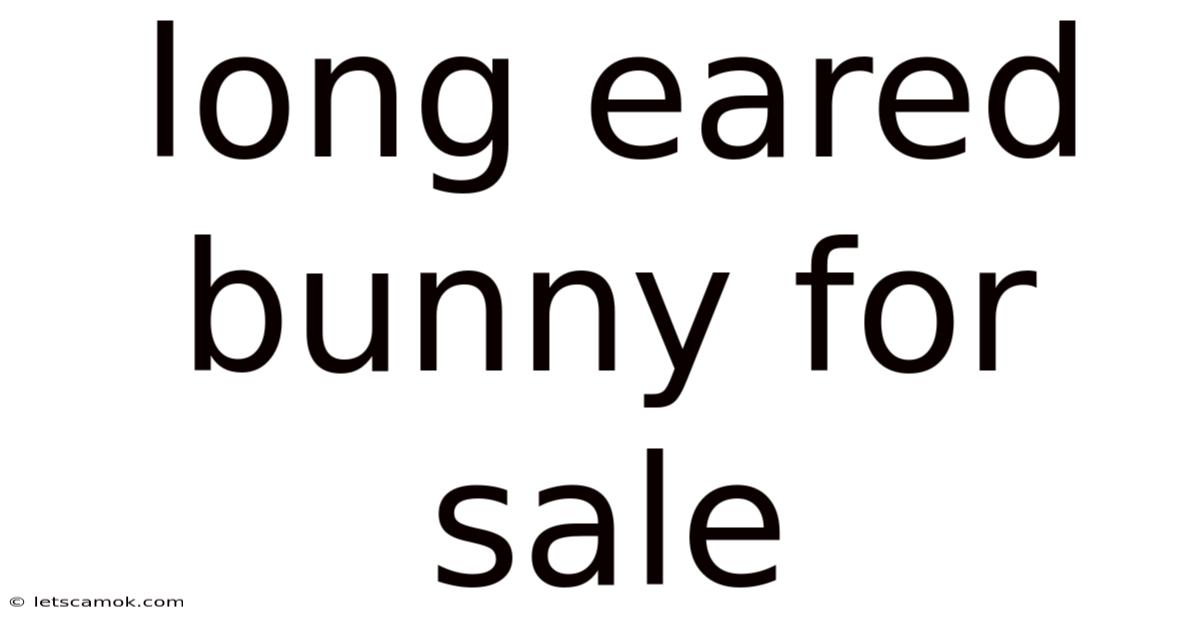 Long Eared Bunny For Sale