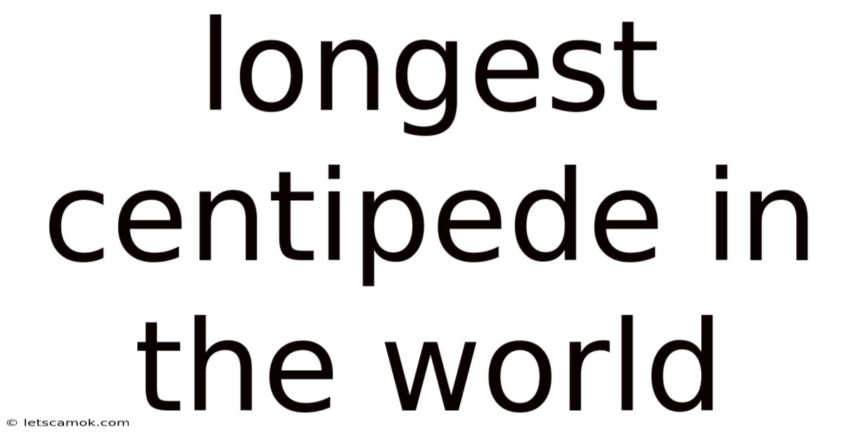 Longest Centipede In The World