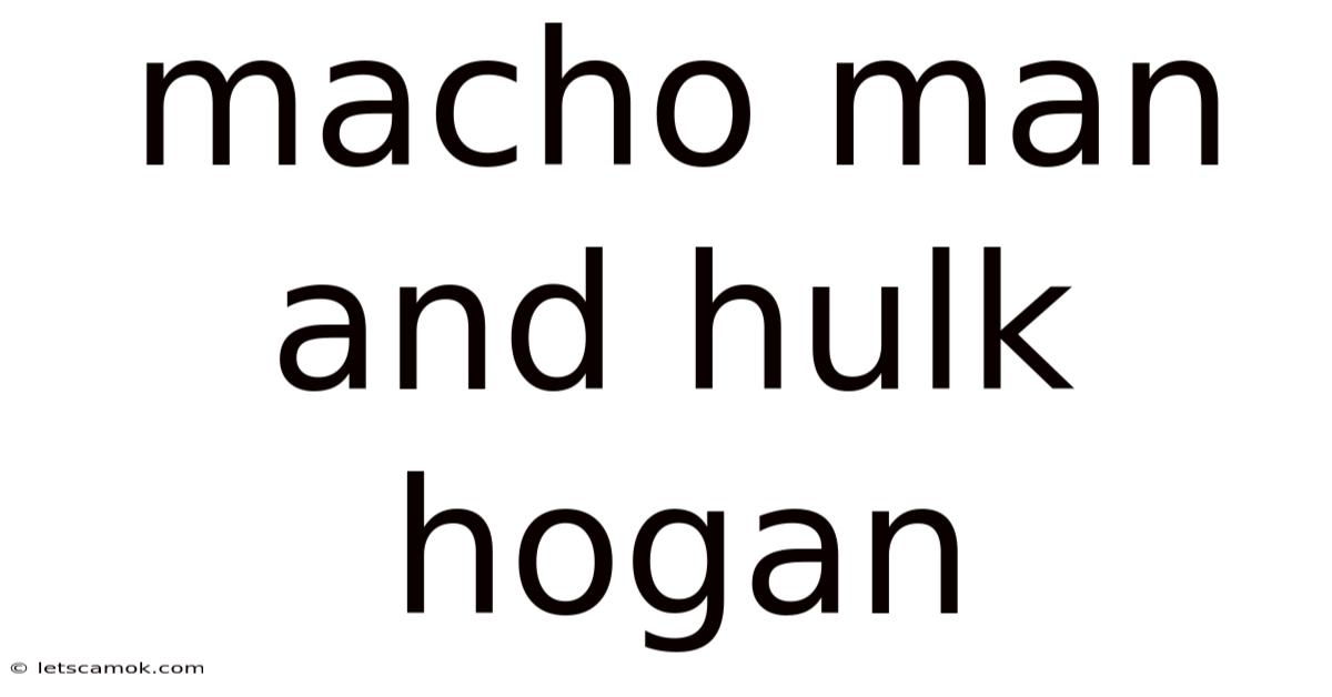 Macho Man And Hulk Hogan