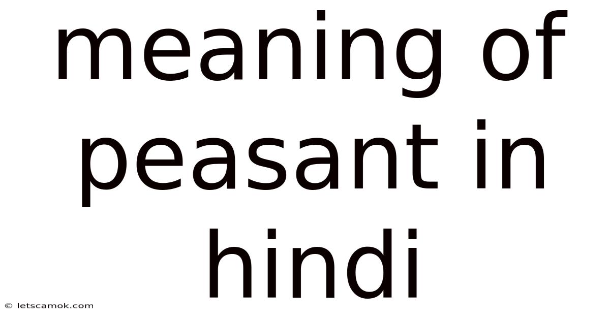 Meaning Of Peasant In Hindi