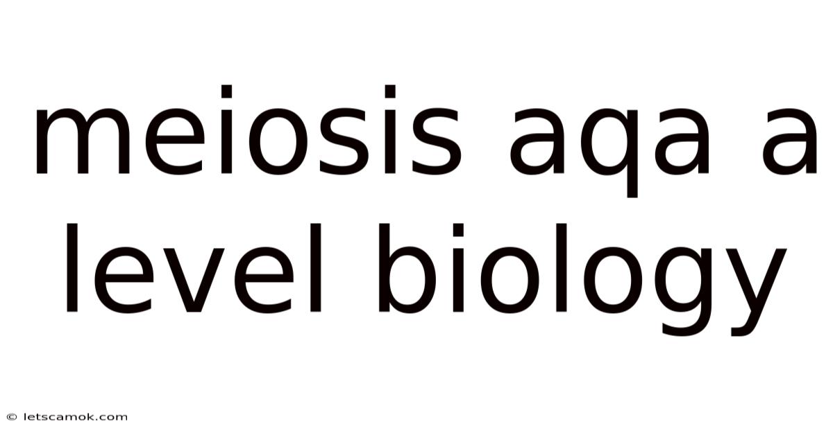 Meiosis Aqa A Level Biology