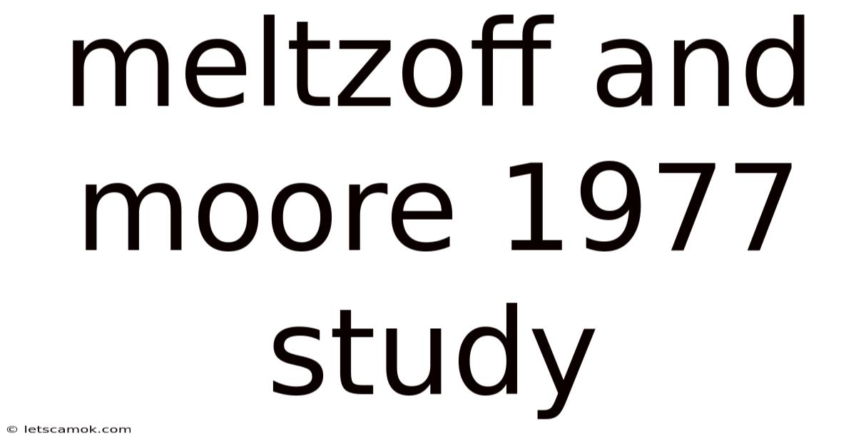 Meltzoff And Moore 1977 Study