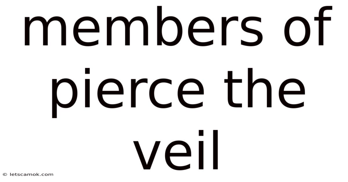 Members Of Pierce The Veil