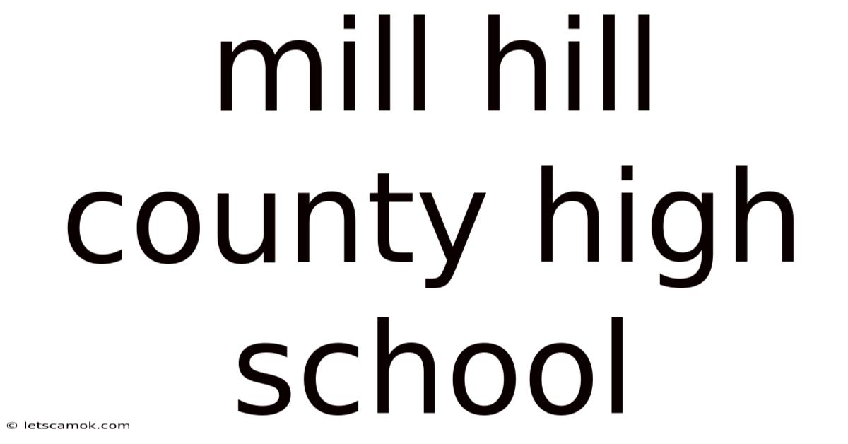 Mill Hill County High School