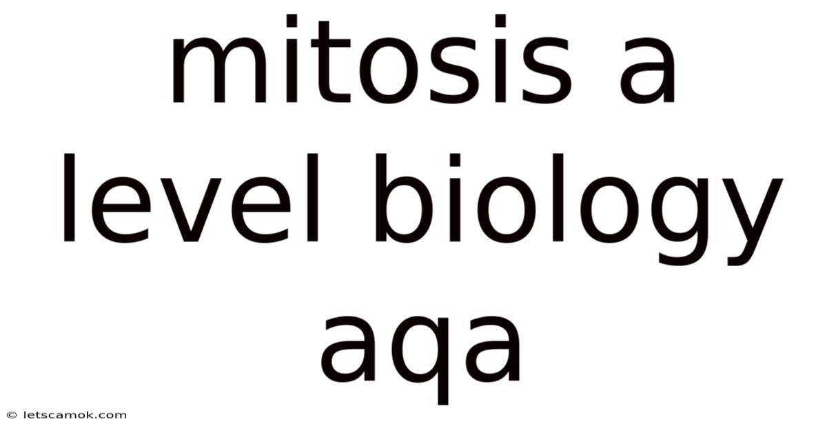Mitosis A Level Biology Aqa