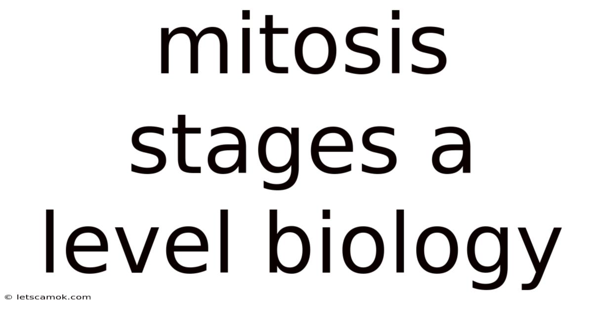 Mitosis Stages A Level Biology