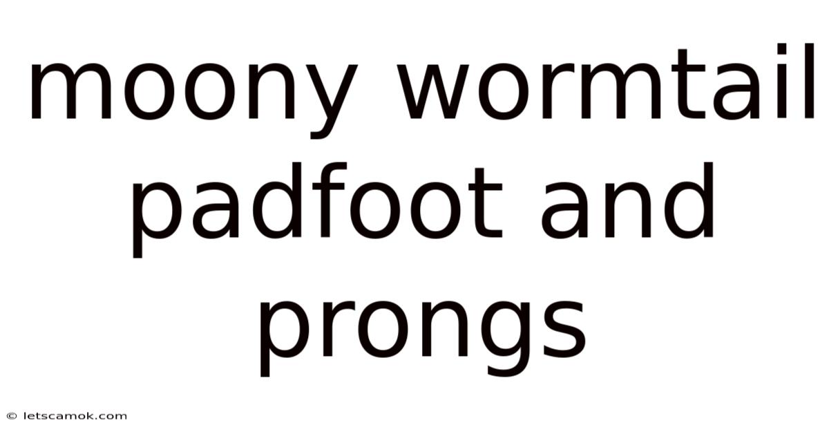 Moony Wormtail Padfoot And Prongs