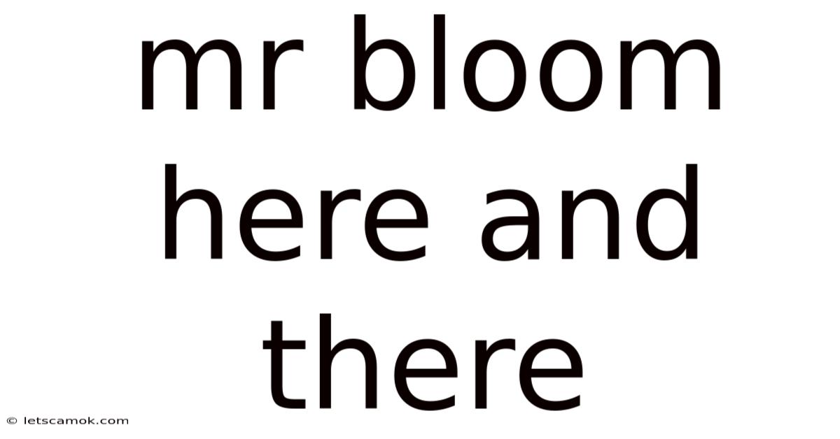 Mr Bloom Here And There