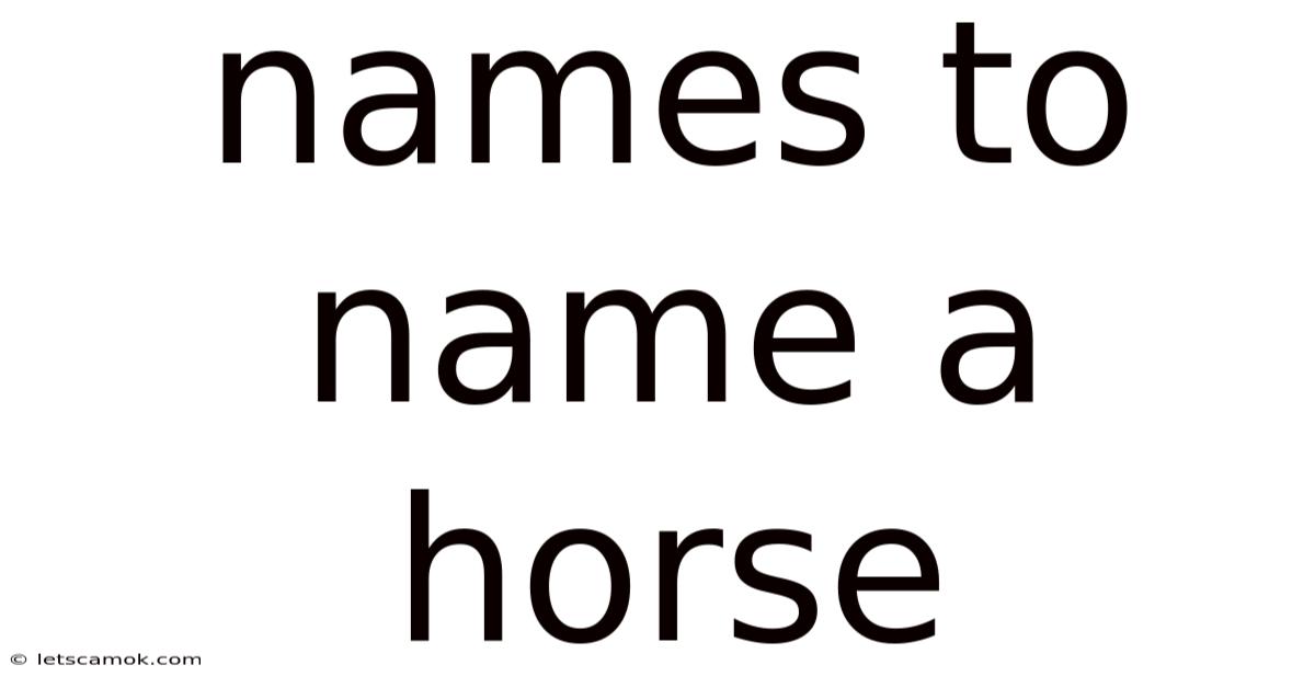 Names To Name A Horse