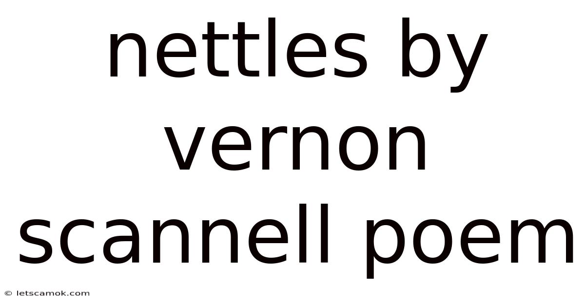 Nettles By Vernon Scannell Poem