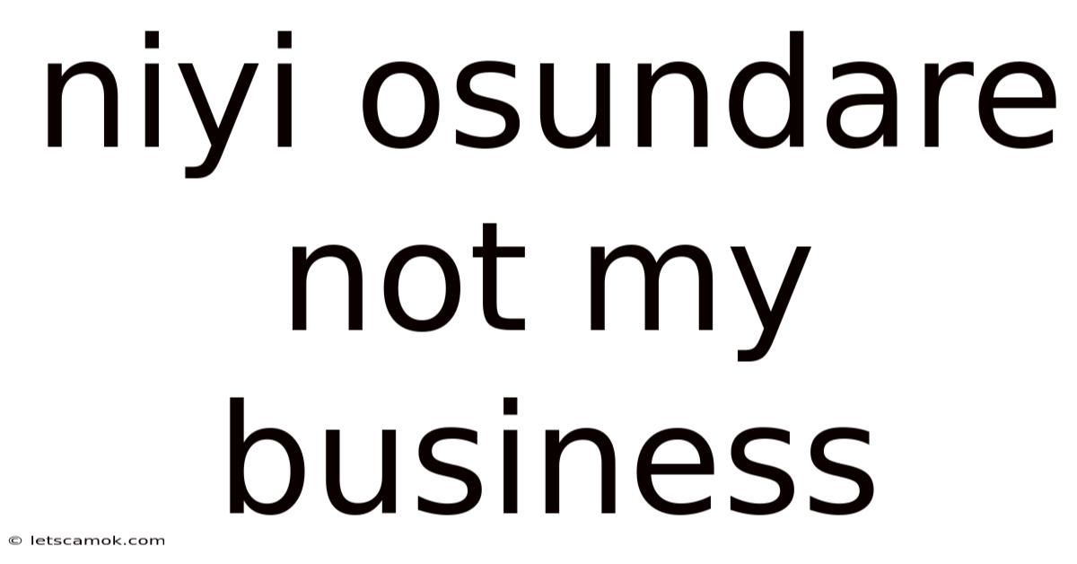 Niyi Osundare Not My Business