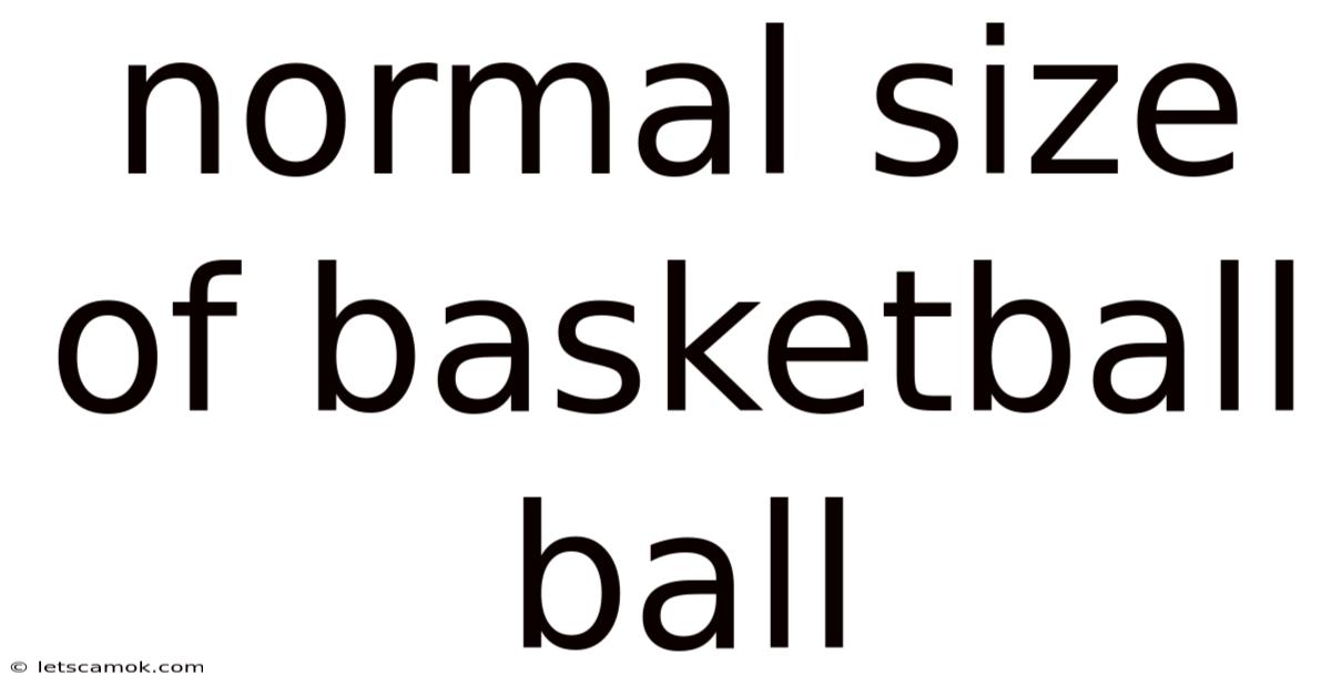 Normal Size Of Basketball Ball