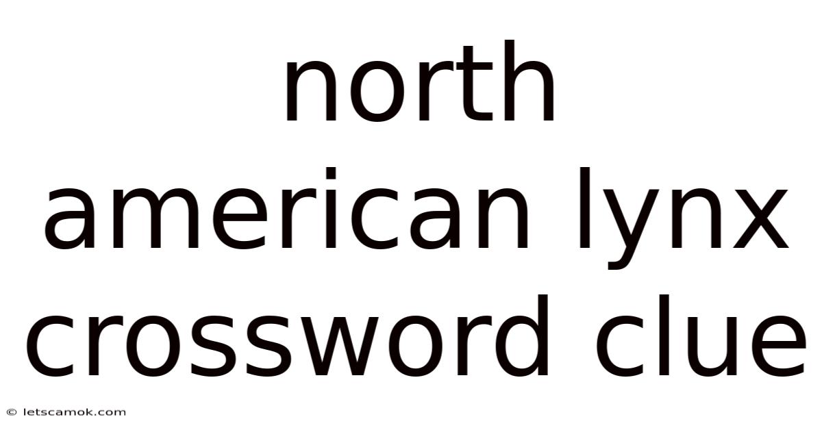North American Lynx Crossword Clue