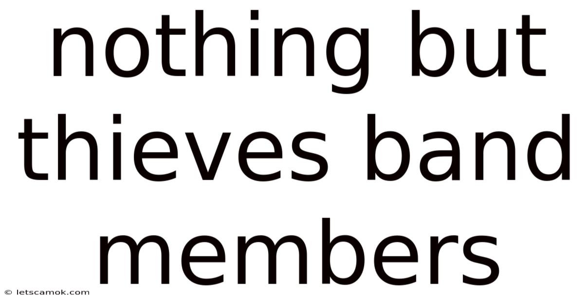 Nothing But Thieves Band Members
