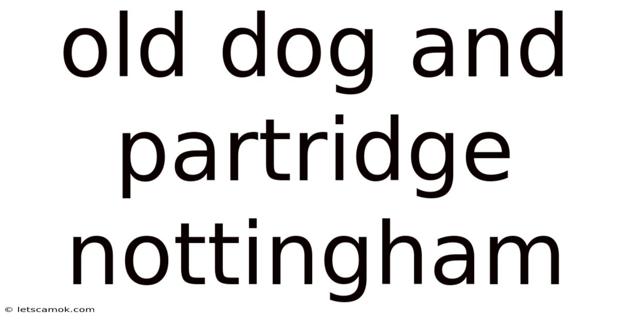 Old Dog And Partridge Nottingham
