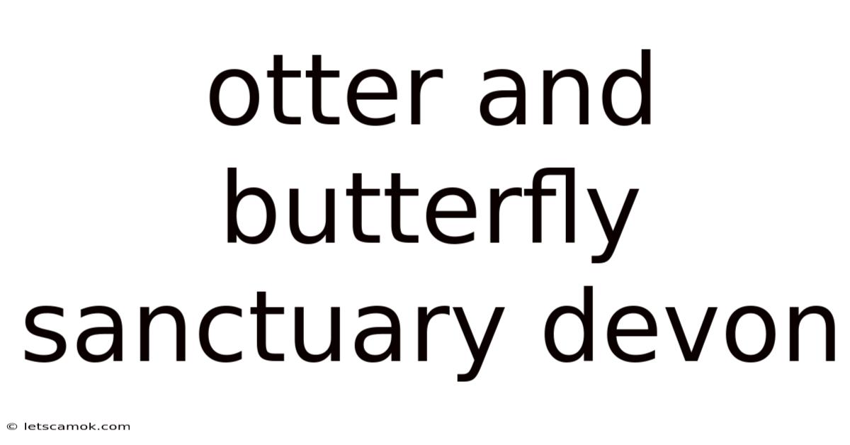 Otter And Butterfly Sanctuary Devon