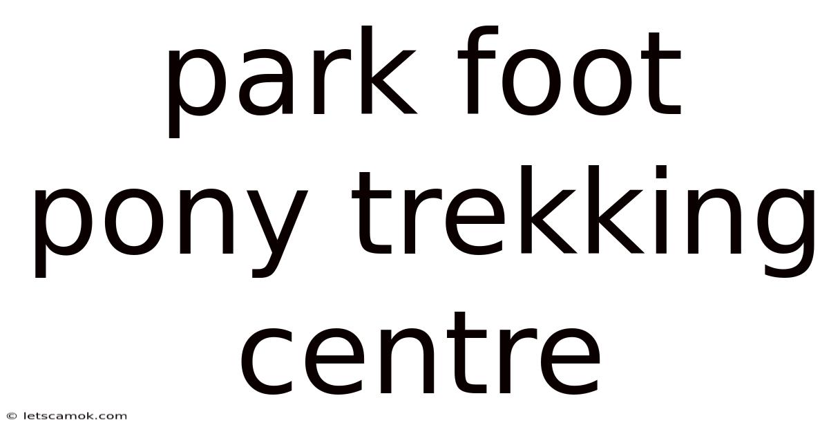 Park Foot Pony Trekking Centre