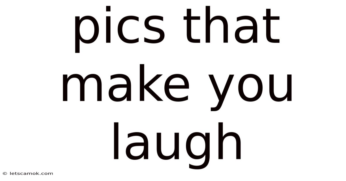Pics That Make You Laugh
