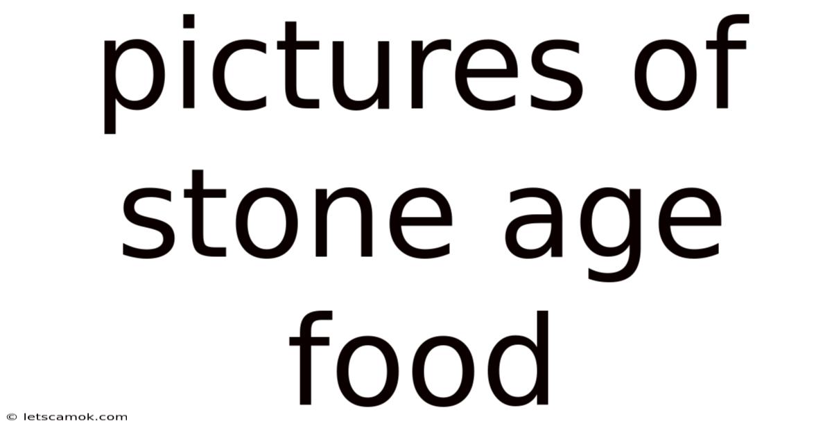 Pictures Of Stone Age Food