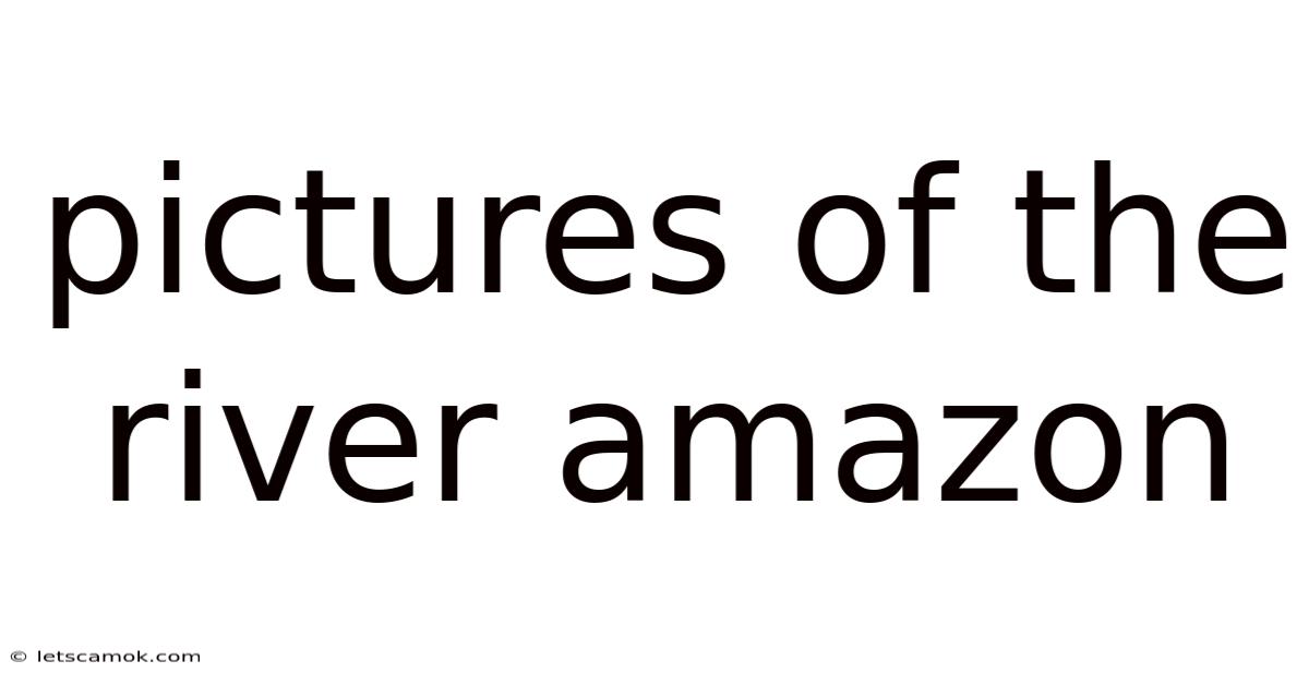 Pictures Of The River Amazon