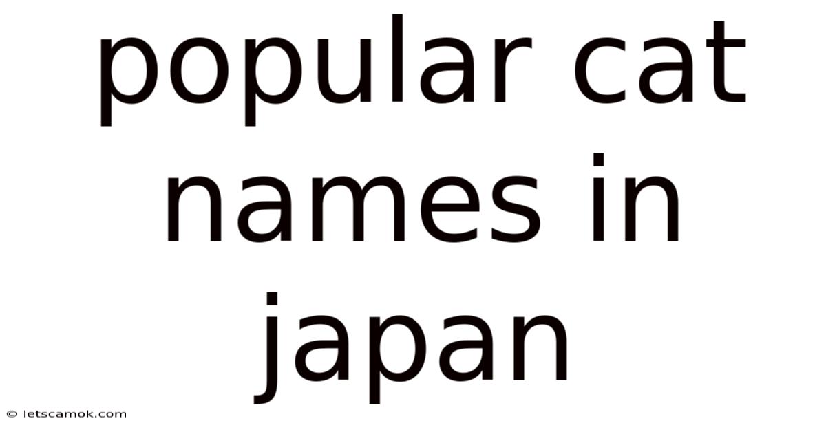 Popular Cat Names In Japan