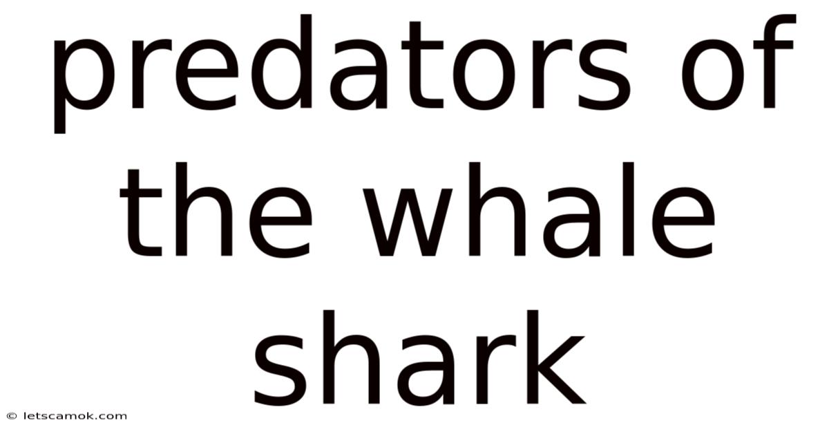 Predators Of The Whale Shark