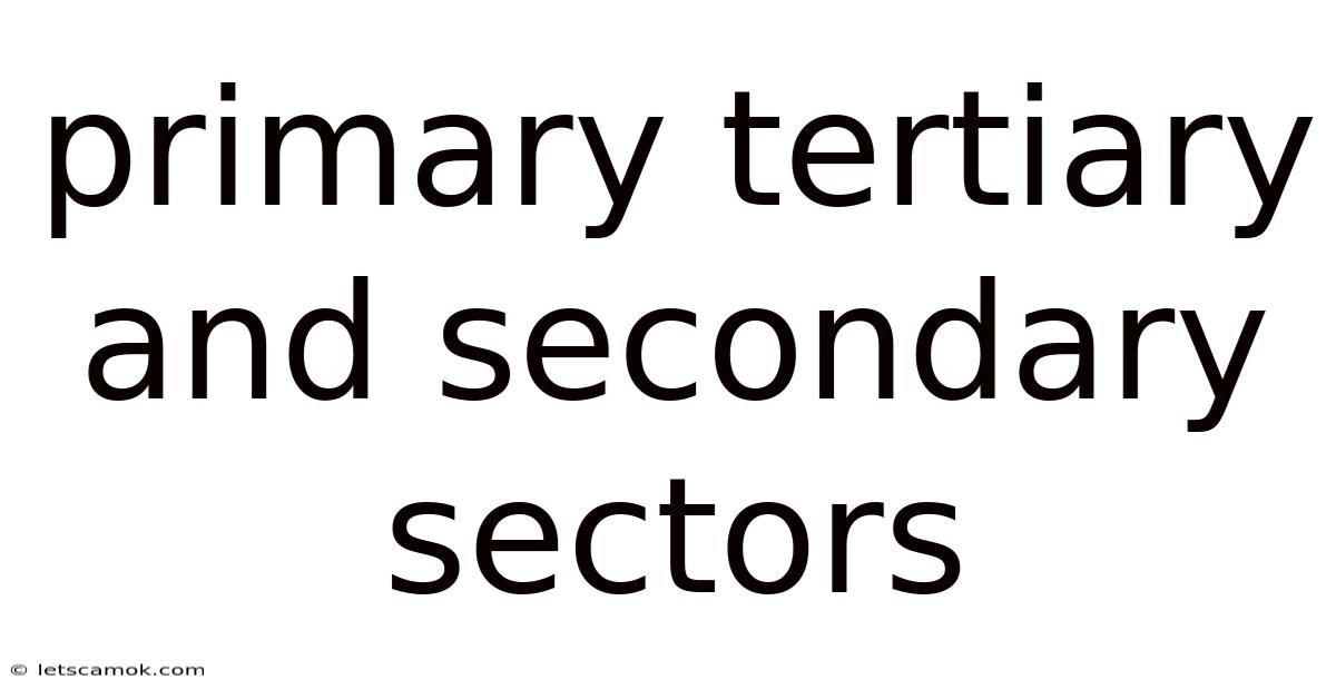 Primary Tertiary And Secondary Sectors