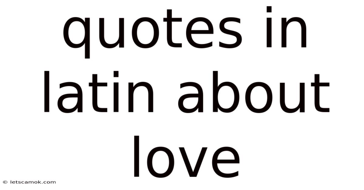 Quotes In Latin About Love