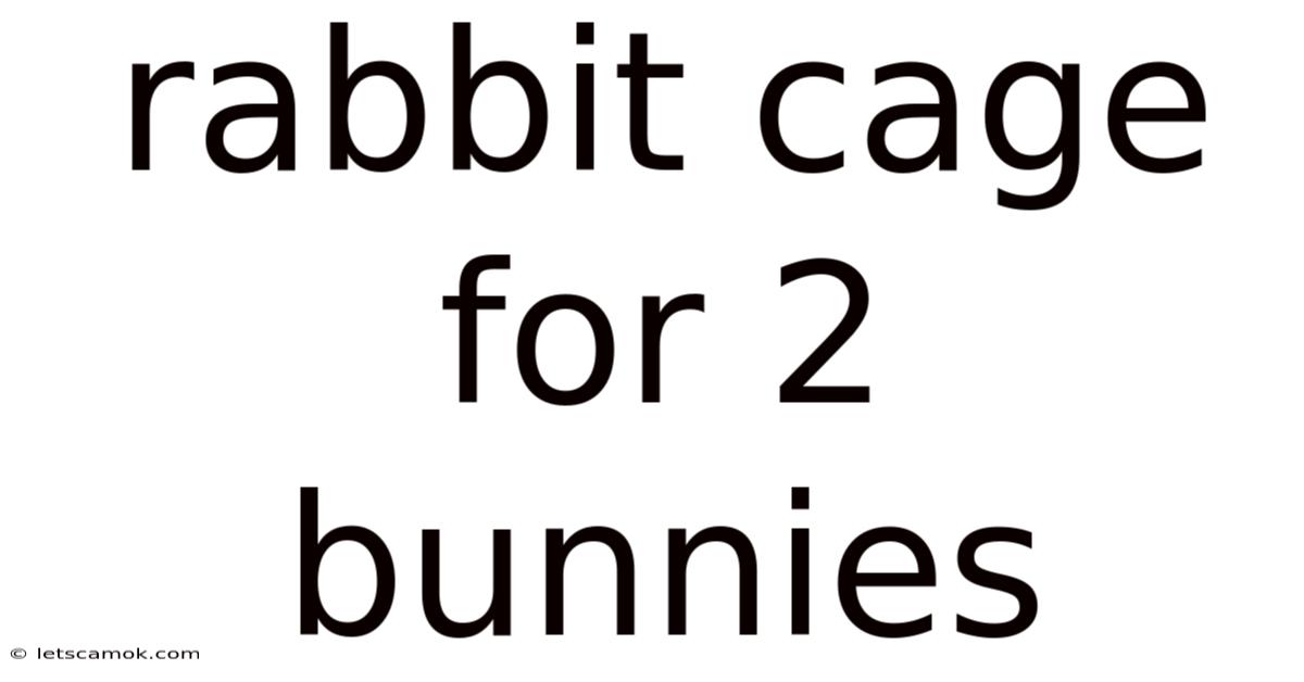 Rabbit Cage For 2 Bunnies