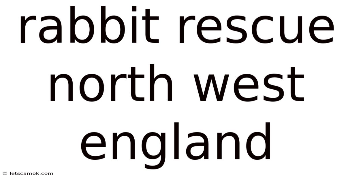 Rabbit Rescue North West England
