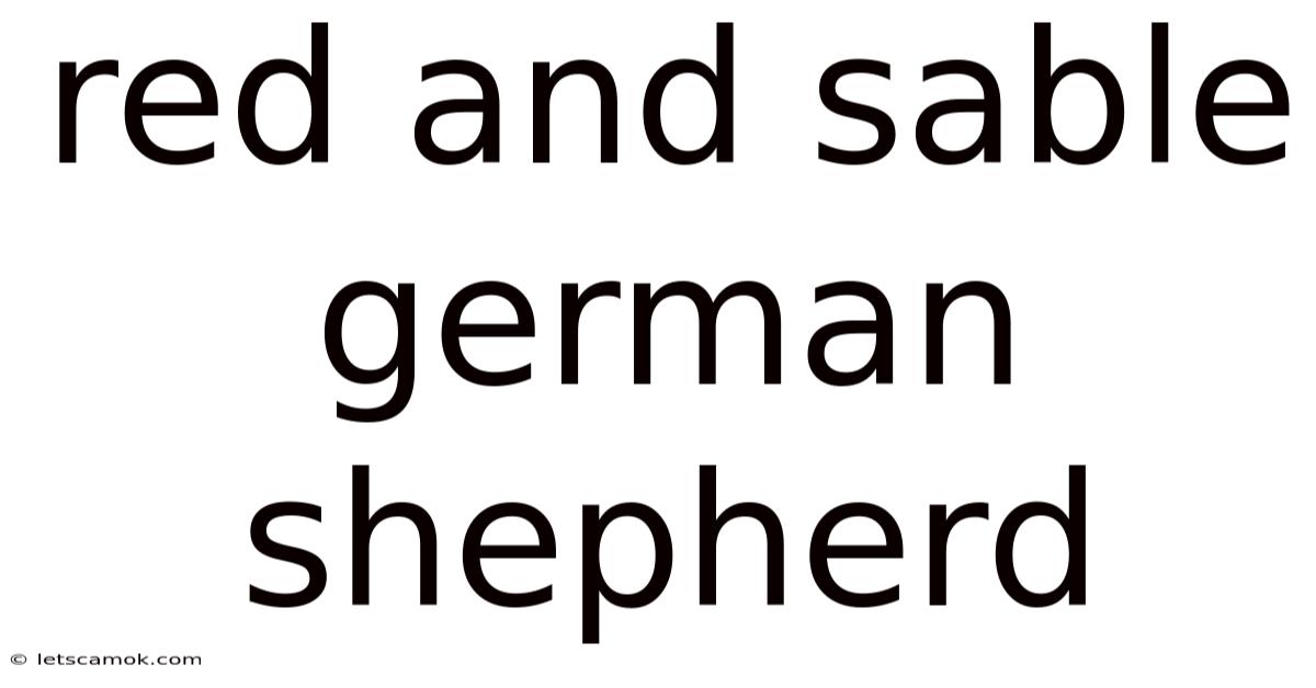 Red And Sable German Shepherd